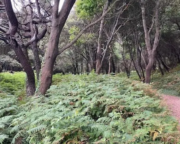 Primera Linea De Playa Centro * Noja