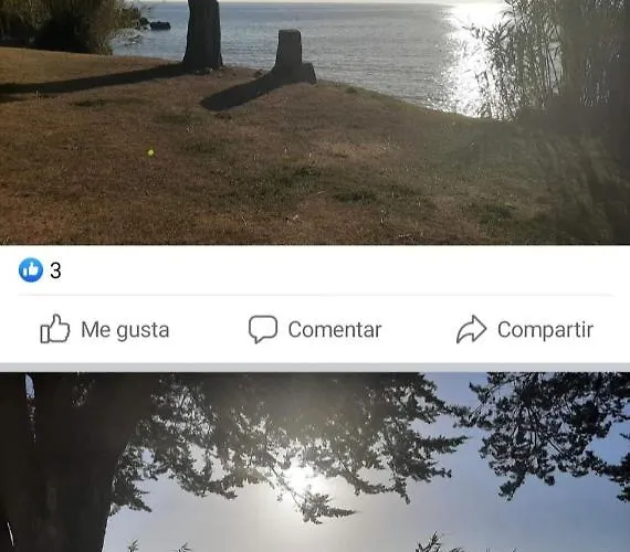 Primera Linea De Playa Centro Apartment