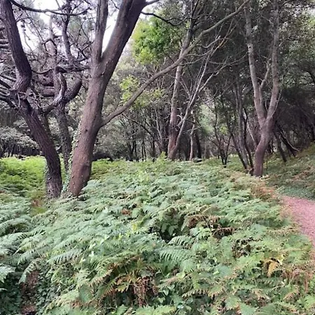 Primera Linea De Playa Centro * Noja