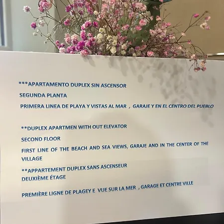 Primera Linea De Playa Centro Lejlighed